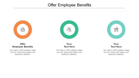 Offer employee benefits ppt powerpoint presentation styles visuals cpb