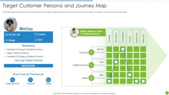Offering Digital Financial Facility To Existing Customers Target Customer Persona And Journey Map