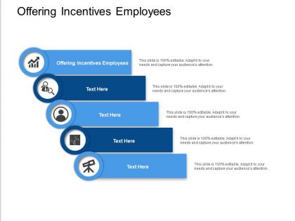 Offering incentives employees ppt powerpoint presentation portfolio sample cpb