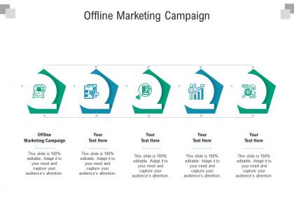 Offline marketing campaign ppt powerpoint presentation infographic template example introduction cpb
