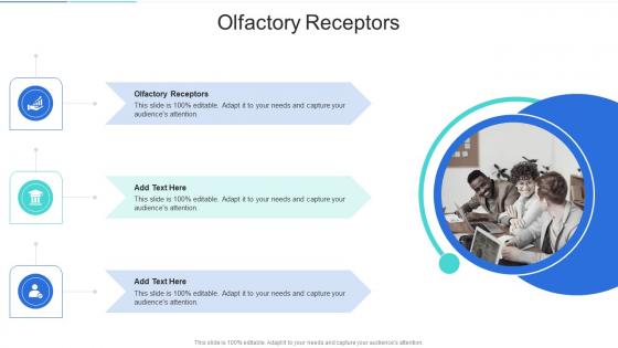 Olfactory Receptors In Powerpoint And Google Slides Cpb