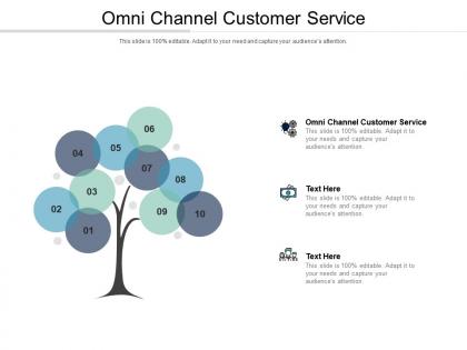 Omni channel customer service ppt powerpoint presentation outline microsoft cpb