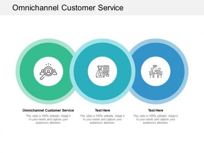 Omnichannel customer service ppt powerpoint presentation layouts icons cpb