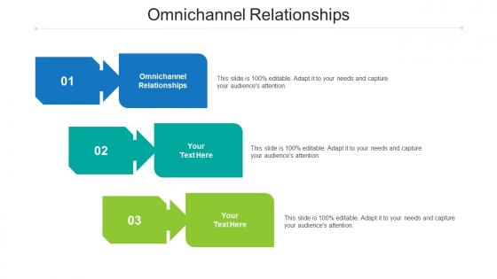 Omnichannel relationships ppt powerpoint presentation infographic template aids cpb
