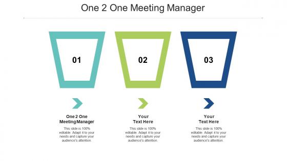One 2 one meeting manager ppt powerpoint presentation styles rules cpb