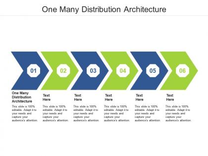 One many distribution architecture ppt powerpoint presentation icon infographic template cpb
