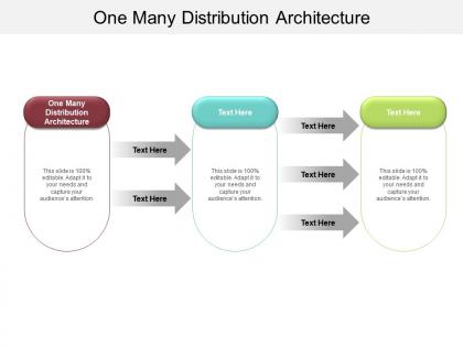 One many distribution architecture ppt powerpoint presentation portfolio guide cpb