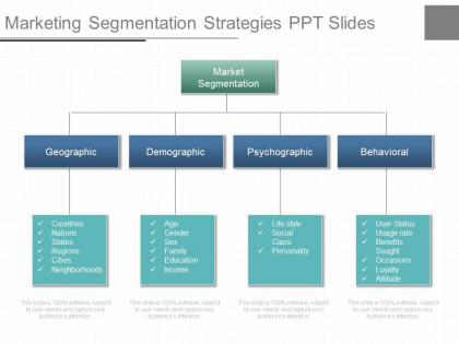 One marketing segmentation strategies ppt slides