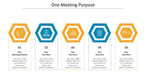 One meeting purpose ppt powerpoint presentation infographic template visuals cpb