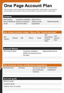 One page account plan presentation report infographic ppt pdf document