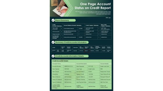 One Page Account Status On Credit Report Presentation Infographic PPT PDF Document