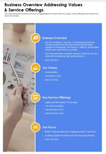 One page business overview addressing values and service offerings infographic ppt pdf document