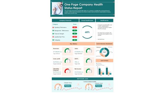 One Page Company Health Status Report Sample Example Document