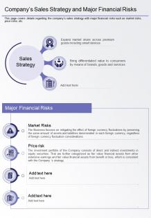 One page companys sales strategy and major financial risks presentation report infographic ppt pdf document