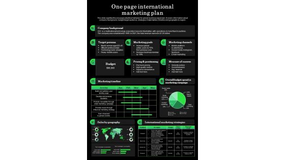 One Page International Marketing Plan Presentation Report Infographic Ppt Pdf Document