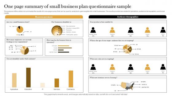 One Page Summary Of Small Business Plan Questionnaire Sample Survey SS