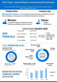 One pager annual report and financial statement presentation report infographic ppt pdf document
