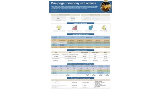 One Pager Company Exit Options Presentation Report Infographic PPT PDF Document