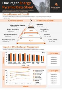 One pager energy pyramid data sheet presentation report infographic ppt pdf document
