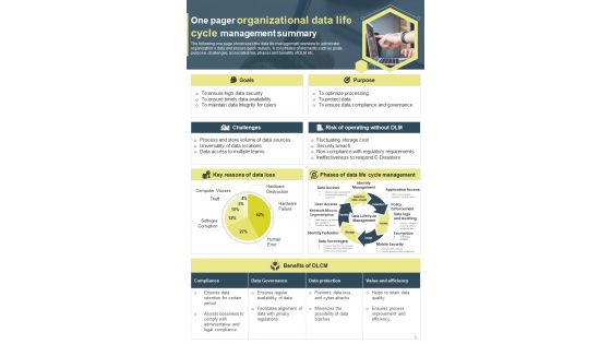 One Pager Organizational Data Life Cycle Management Summary Presentation Infographic Ppt Pdf Document