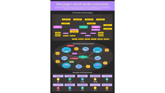 One Pager Social Media Ecosystem Presentation Report Infographic PPT PDF Document