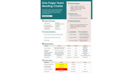 One Pager Team Meeting Charter Presentation Report Infographic PPT PDF Document