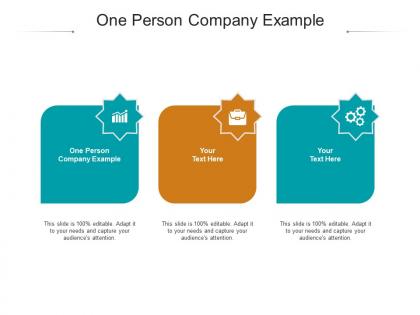 One person company example ppt powerpoint presentation show ideas cpb