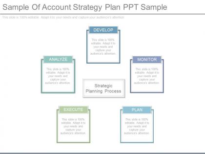 One sample of account strategy plan ppt sample