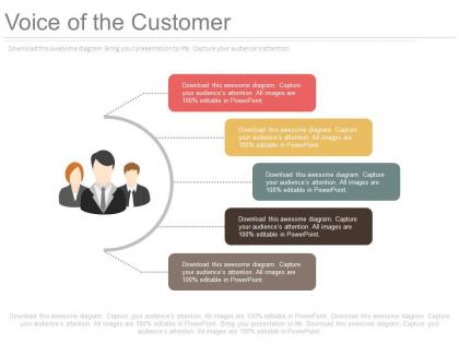 One voice of the customer powerpoint slides