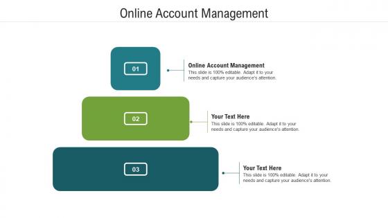 Online account management ppt powerpoint presentation professional maker cpb
