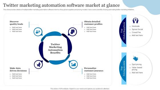 Online Advertisement Using Twitter Marketing Automation Software Market At Glance