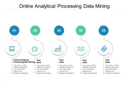 Online analytical processing data mining ppt powerpoint presentation infographic template slide portrait cpb