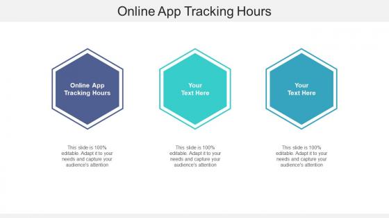 Online app tracking hours ppt powerpoint presentation ideas layout cpb
