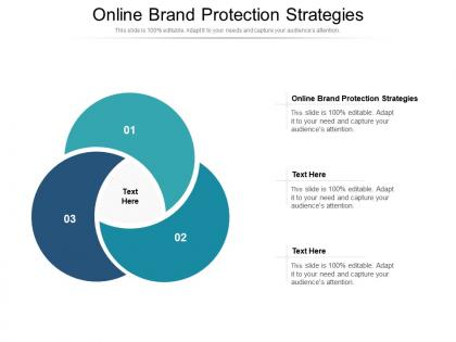 Online brand protection strategies ppt powerpoint presentation model slide portrait cpb