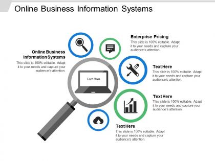 Online business information systems ppt powerpoint presentation ideas pictures cpb