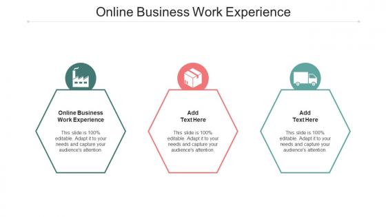 Online Business Work Experience Ppt Powerpoint Presentation Styles Microsoft Cpb