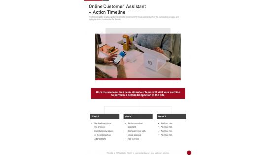 Online Customer Assistant Action Timeline One Pager Sample Example Document