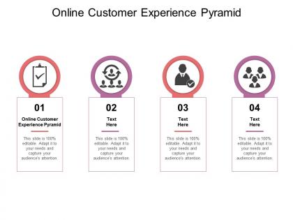 Online customer experience pyramid ppt powerpoint presentation themes cpb