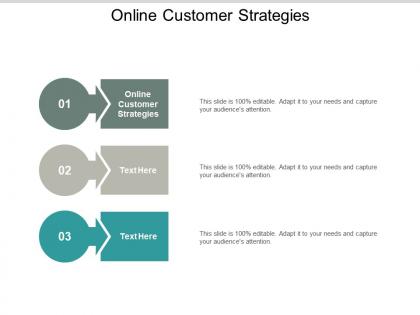 Online customer strategies ppt powerpoint presentation infographic template templates cpb