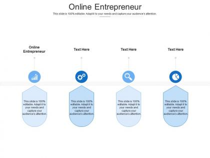 Online entrepreneur ppt powerpoint presentation infographic template graphics cpb
