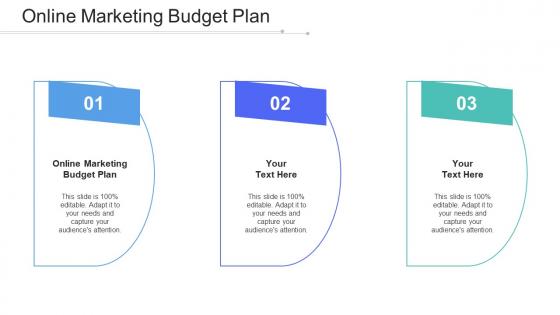 Online Marketing Budget Plan Ppt Powerpoint Presentation Summary Template Cpb