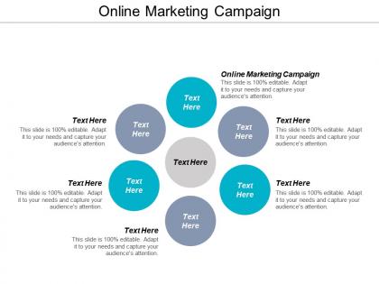 Online marketing campaign ppt powerpoint presentation show professional cpb