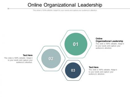 Online organizational leadership ppt powerpoint presentation slides portfolio cpb