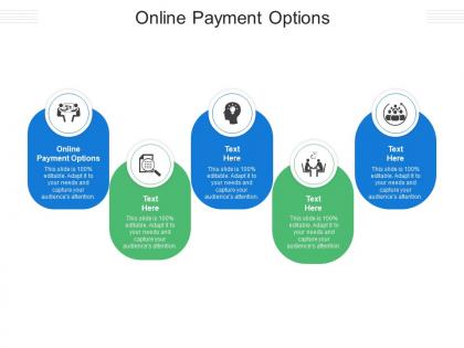 Online payment options ppt powerpoint presentation model design inspiration cpb
