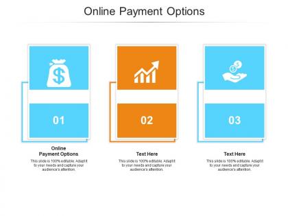 Online payment options ppt powerpoint presentation slides show cpb