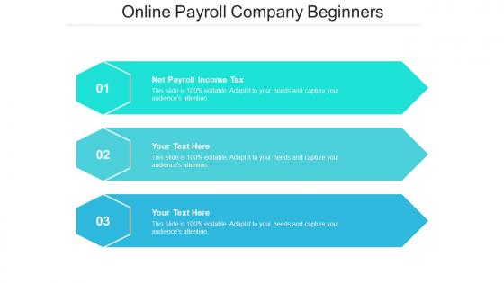 Online payroll company beginners ppt powerpoint presentation outline show cpb