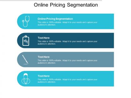 Online pricing segmentation ppt powerpoint presentation example cpb