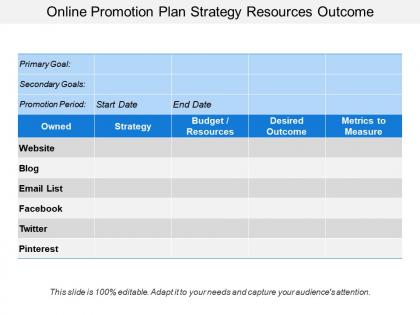 Online promotion plan strategy resources outcome