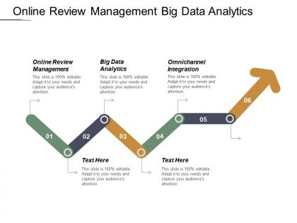Online review management big data analytics omnichannel integration cpb