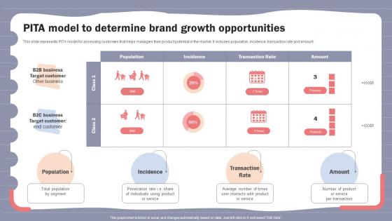 Online Shopper Marketing Plan PITA Model To Determine Brand Growth Opportunities